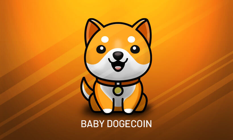 مارکت خرید و فروش Baby Doge Coin